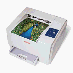 טונר למדפסת Xerox Phaser 6110